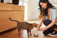 Feeding Fluffy: Easy Ways To Boost Your Cat’s Fiber Intake