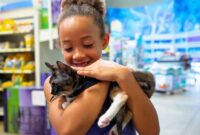 Your Guide To Bringing Home A Furry Friend: How To Adopt A Cat From Petsmart