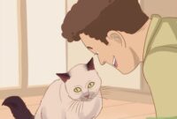 Oops, Sorry Kitty! How To Apologize To Your Feline Friend Like A Pro