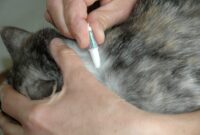 Easy Steps: How To Apply Cat Flea Treatment Without Stressing Out Your Feline Friend