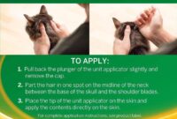 Easy Steps To Applying NexGard Combo For Cats: A Quick Guide