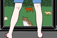 How To Lure Stray Cats To Your Yard: Tips For Winning Over Feline Friends