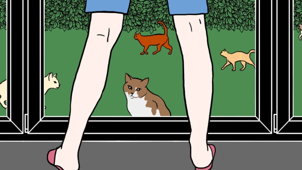 How To Lure In A Stray Cat: Easy Tips For Attracting A Furry Friend