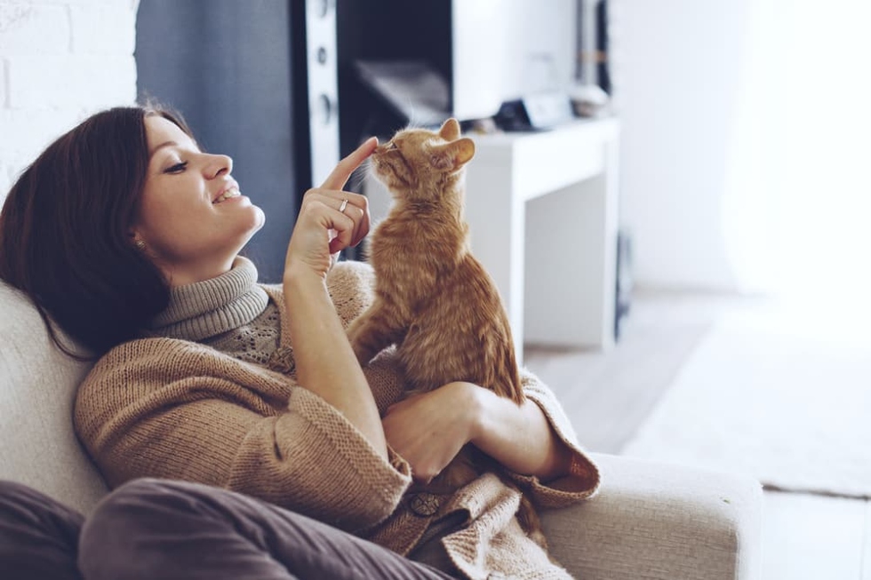 5 Easy Ways To Strengthen Your Connection With Your Feline Friend