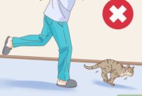 Gentle Tips For Bathing A Feisty Feline: How To Handle An Aggressive Cat With Ease