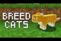 How To Breed Cats In Minecraft: A Beginner’s Guide To Feline Reproduction