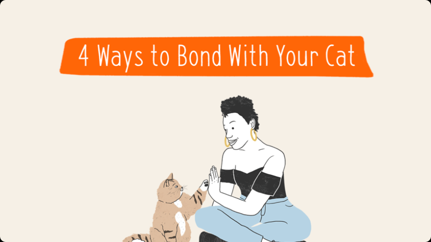 Niche Utama 1 How To Protect The Bond Between You And Your Cat  Zoetis Petcare