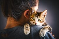 How To Help Your Cat Overcome Separation Anxiety Like A Pro