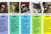 Cat Care 101: Tips For Being A Awesome Cat Parent