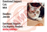 Unlocking Emotional Support: A Guide To Certifying Your Feline Friend As An Emotional Support Cat In English