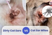 Whisking Away Worry: A Comprehensive Guide On Banishing Cat Ear Mites For Good