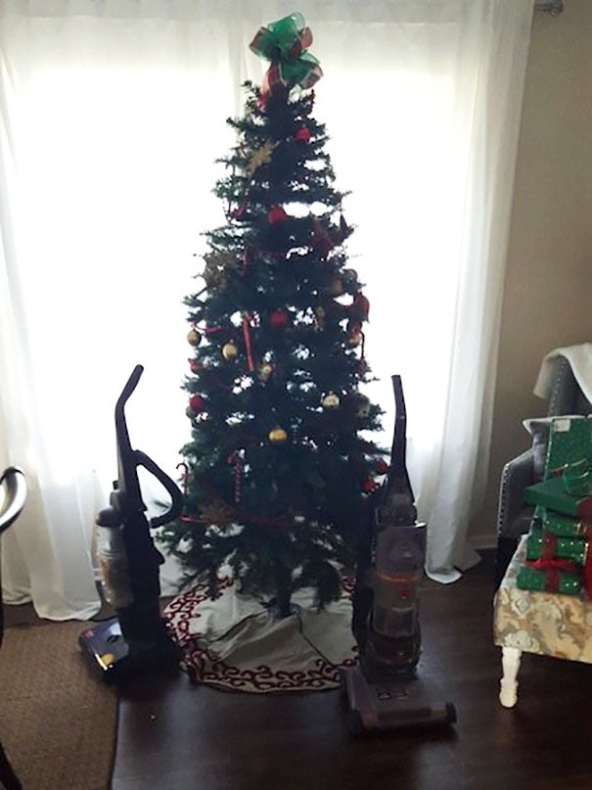 5 Clever Ways To Safely Cat-Proof Your Christmas Tree And Keep The Holiday Spirit Alive