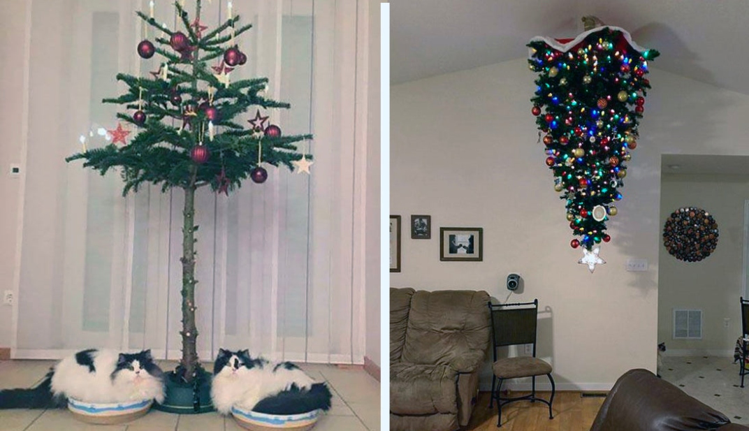 Feline-Proof Your Festivities: 10 Ingenious Ways To Keep Your Christmas Tree Safe From Curious Cats