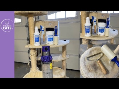 Purr-fectly Clean: The Ultimate Guide To Freshening Up Your Cat Tower