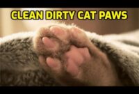 Purr-fectly Clean: The Ultimate Guide To Keeping Your Cat’s Paws Pristine