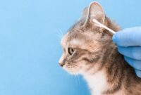 Purr-fectly Clean: The Ultimate Guide To Keeping Your Feline Friend’s Ears Spotless