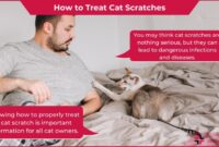 The Purr-fect Guide: How To Safely And Effectively Clean A Cat Scratch