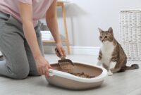 Mastering The Art Of Purrrfectly Clean: A Comprehensive Guide To Cleaning Your Cat’s Litter Box