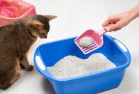 Kitty Litter Cleanup: Mastering The Art Of Cat Box Sanitation For A Fresh And Purr-fect Home