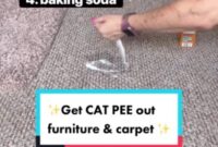 Purr-fectly Effective Solutions: How To Banish Cat Pee Odor From Carpet For Good